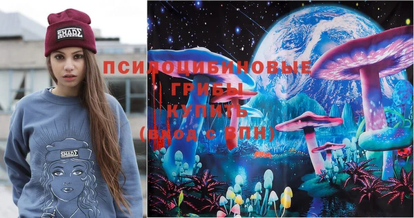 ПСИЛОЦИБИНОВЫЕ ГРИБЫ Аркадак