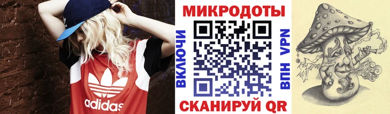 Псилоцибиновые грибы Cubensis  даркнет сайт  Белёв 